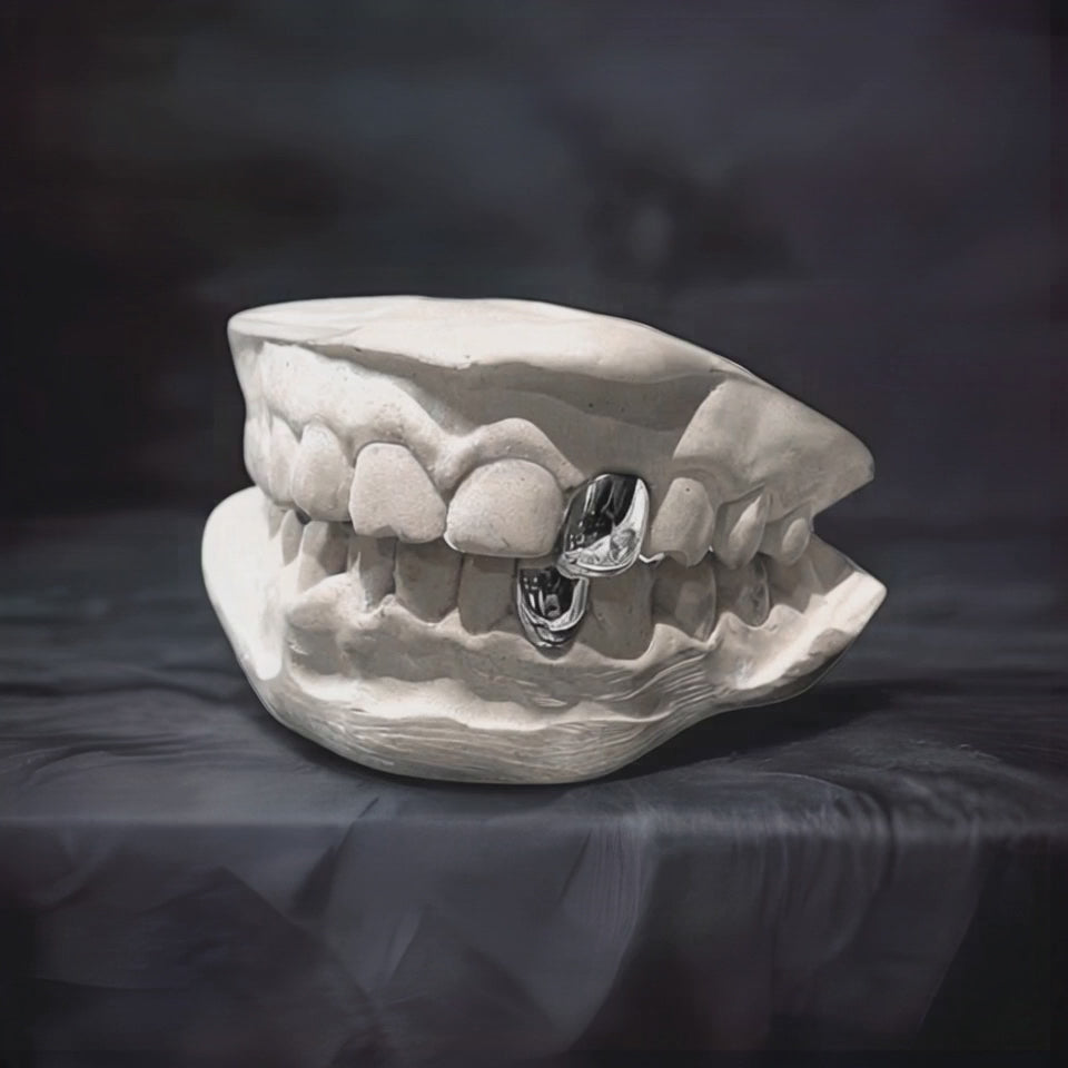 ECHO (SILVER GRILLZ)
